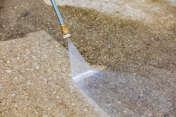Best Roof Cleaning and Mildew Removal in Beaver Dam, WI