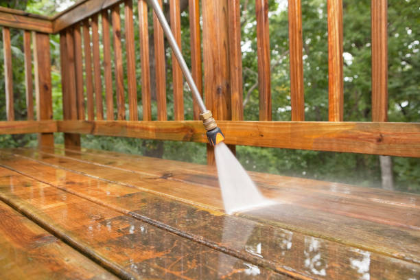 Best Soft Washing for Delicate Surfaces in Beaver Dam, WI